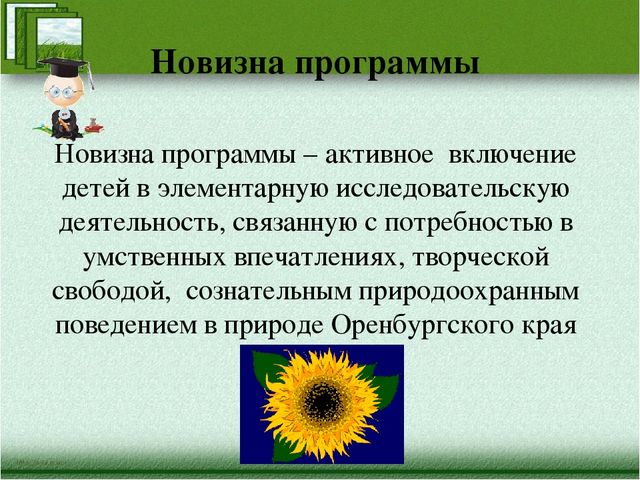 Краткая презентация программы" Я-исследователь"
