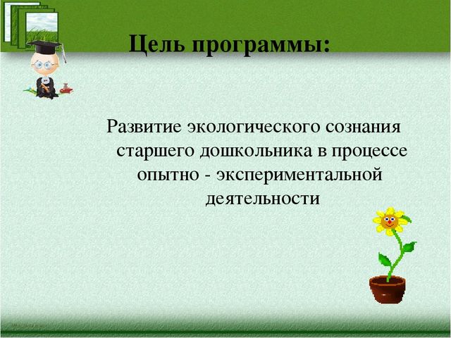 Краткая презентация программы" Я-исследователь"