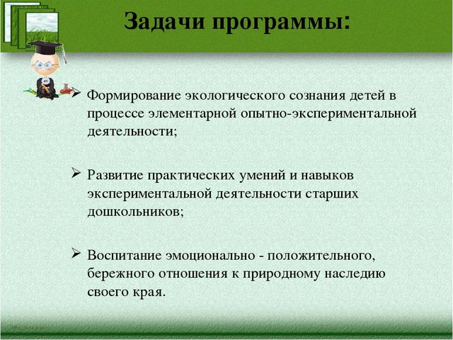 Краткая презентация программы" Я-исследователь"