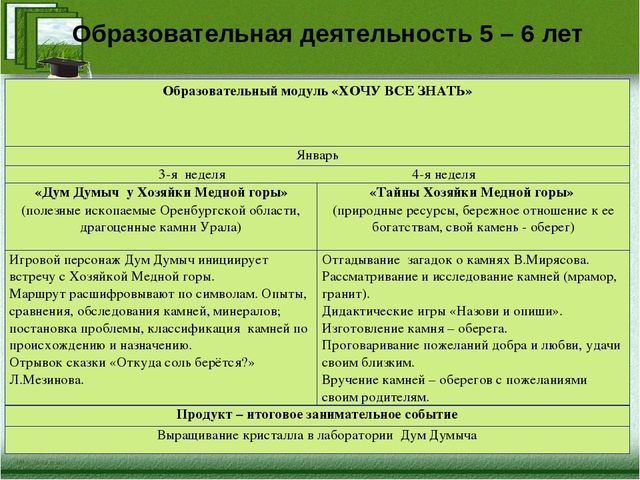 Краткая презентация программы" Я-исследователь"