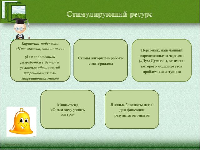 Краткая презентация программы" Я-исследователь"