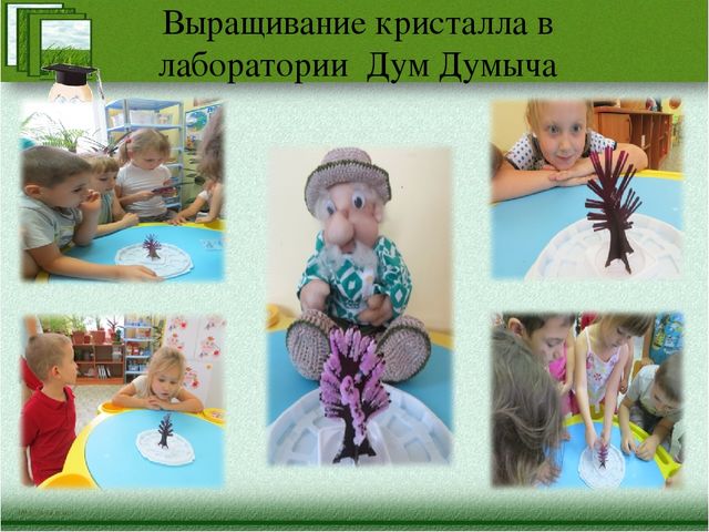 Краткая презентация программы" Я-исследователь"
