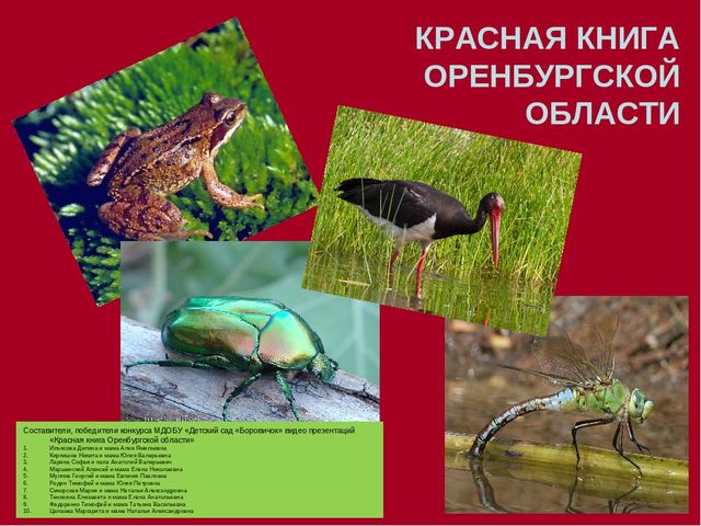 Краткая презентация программы" Я-исследователь"