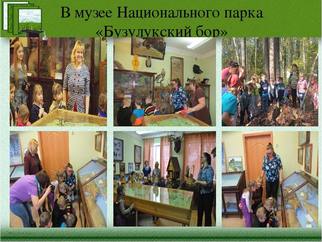 Краткая презентация программы" Я-исследователь"