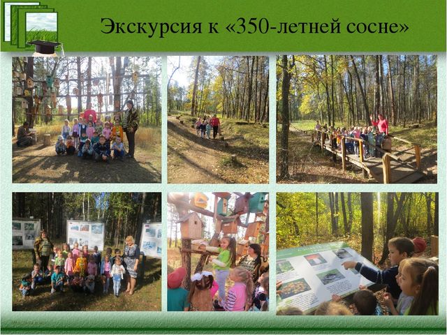 Краткая презентация программы" Я-исследователь"