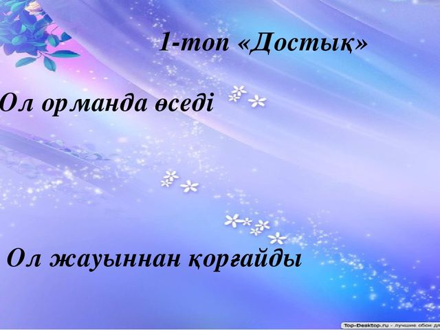 "Тапқыр достар" сайыс презентация
