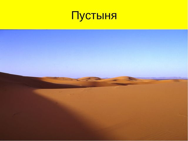 Презентация по ознакомлению с окружающим миром на тему "Пустыня"