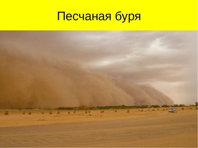 Презентация по ознакомлению с окружающим миром на тему "Пустыня"