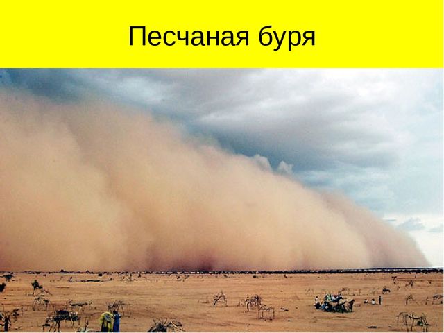 Презентация по ознакомлению с окружающим миром на тему "Пустыня"