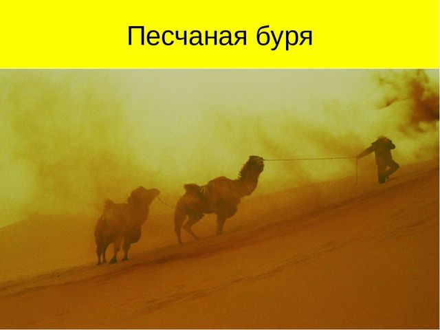 Презентация по ознакомлению с окружающим миром на тему "Пустыня"