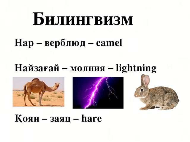 Презентация по казахскому языку на тему "Н н дыбысы мен әрпі" МАД