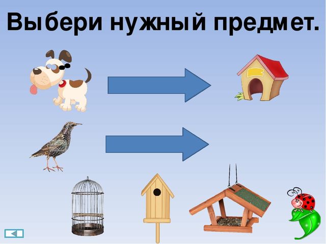 Интерактивная игра "Поиграйка" для детей 6-7 лет
