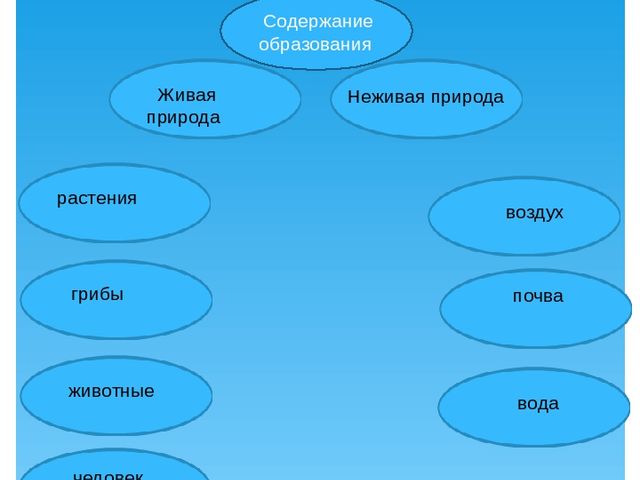 Презентация выступления на педагогическом совете по теме: "Планирование работы по ознакомлению с природой"
