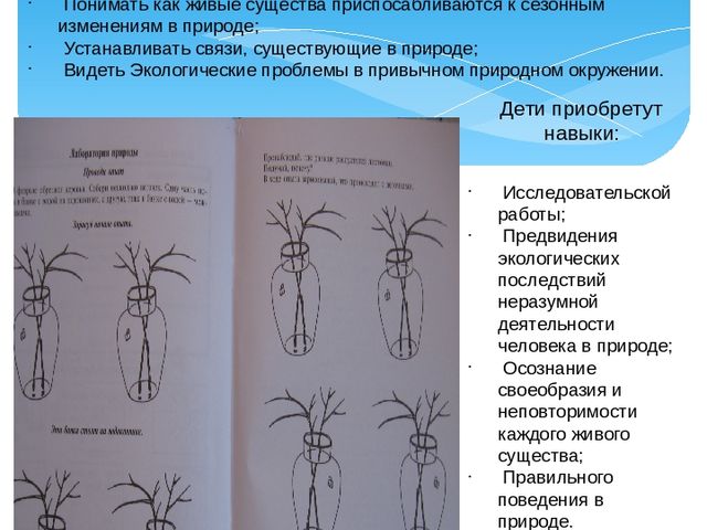 Презентация выступления на педагогическом совете по теме: "Планирование работы по ознакомлению с природой"