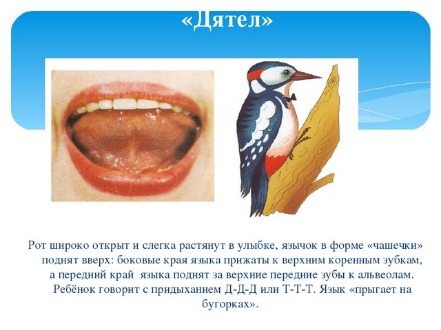 Презентация к мастер-классу для педагогов "Артикуляционная гимнастика"