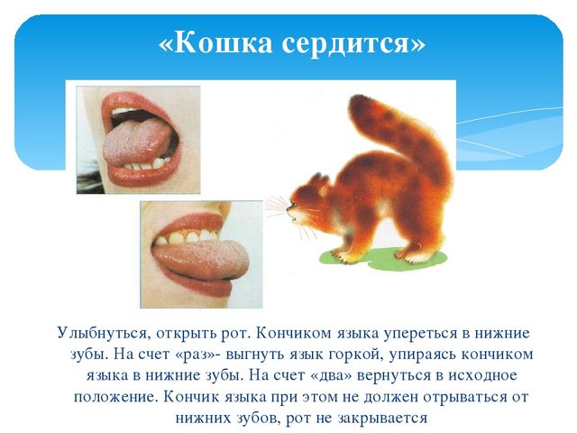 Презентация к мастер-классу для педагогов "Артикуляционная гимнастика"