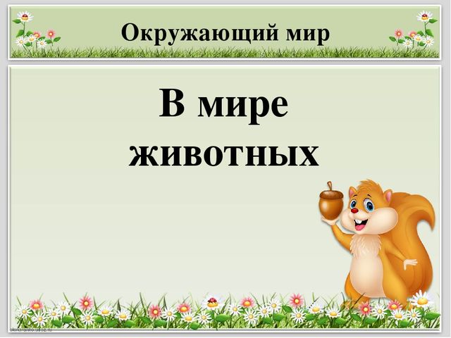 Презентация для занятия с будущими первоклассниками "В мире животных"