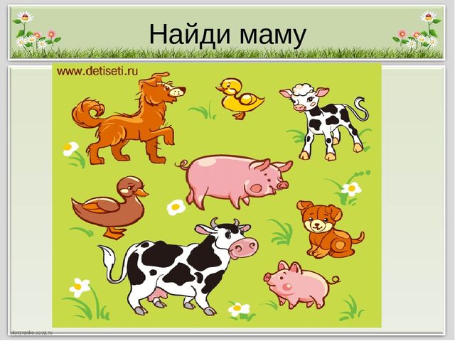 Презентация для занятия с будущими первоклассниками "В мире животных"
