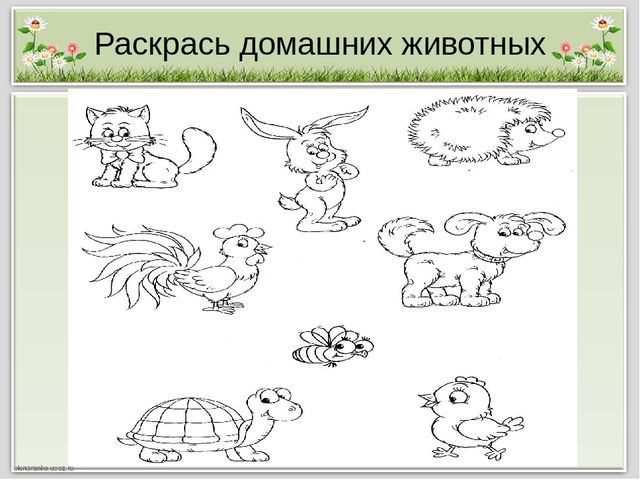 Презентация для занятия с будущими первоклассниками "В мире животных"