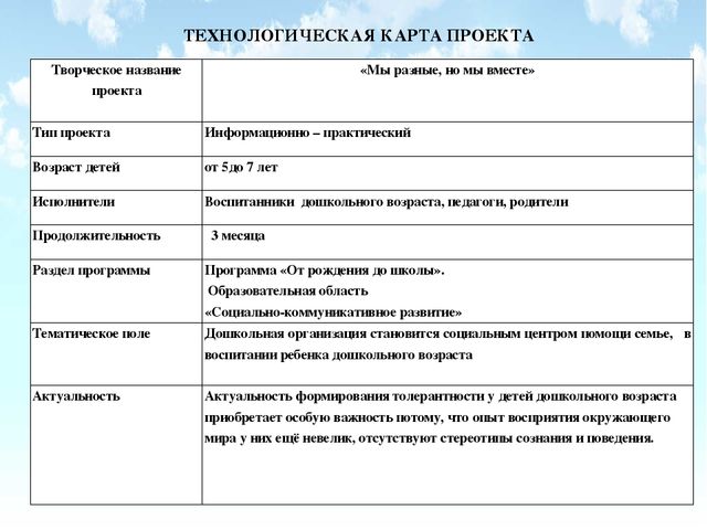 Инновационный проект "Мы разные, но мы вместе"
