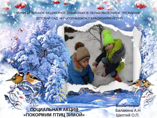 СОЦИАЛЬНАЯ АКЦИЯ «ПОКОРМИМ ПТИЦ ЗИМОЙ»