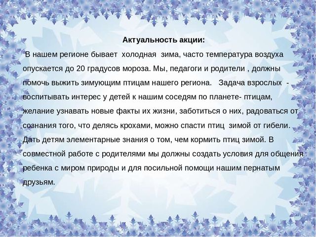 СОЦИАЛЬНАЯ АКЦИЯ «ПОКОРМИМ ПТИЦ ЗИМОЙ»