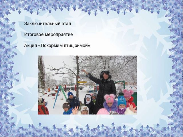 СОЦИАЛЬНАЯ АКЦИЯ «ПОКОРМИМ ПТИЦ ЗИМОЙ»