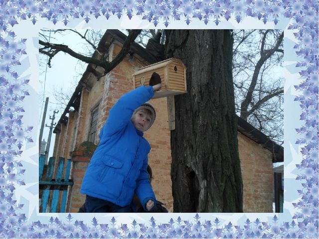 СОЦИАЛЬНАЯ АКЦИЯ «ПОКОРМИМ ПТИЦ ЗИМОЙ»