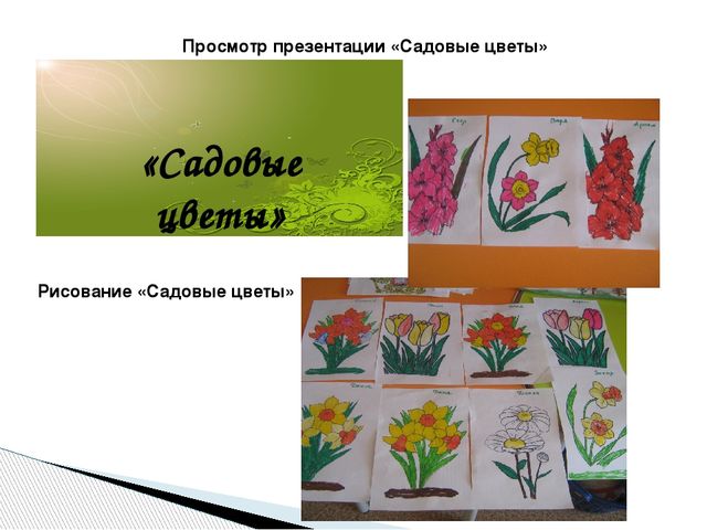 Презентация "Вот оно какое наше лето"