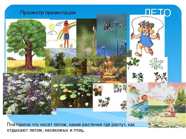 Презентация "Вот оно какое наше лето"