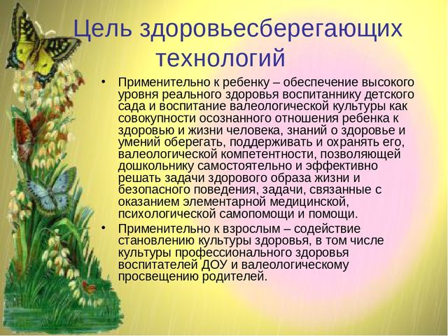 Презентация по теме: "Здоровьесберегающие технологии в педагогическом процессе ДОО"