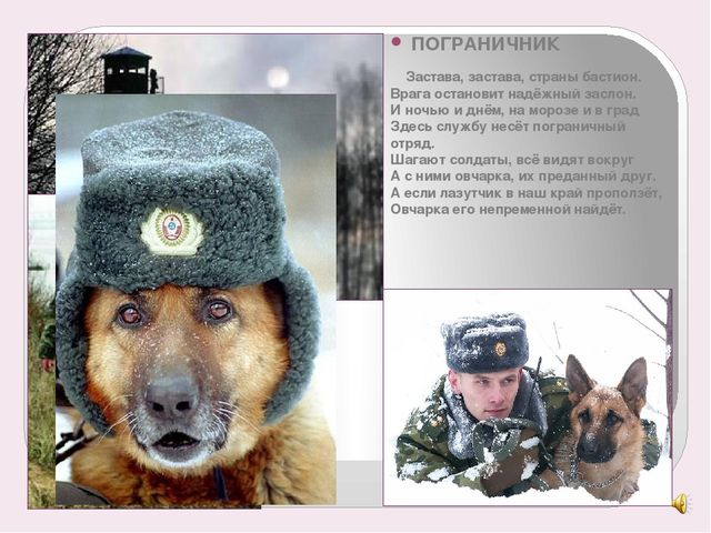 Презентация для детей "Военные профессии"