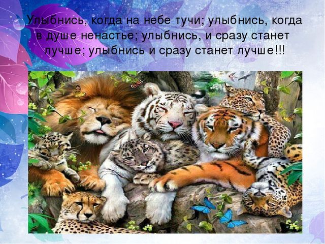 Детский познавательный проект "Доброта в мире животных"