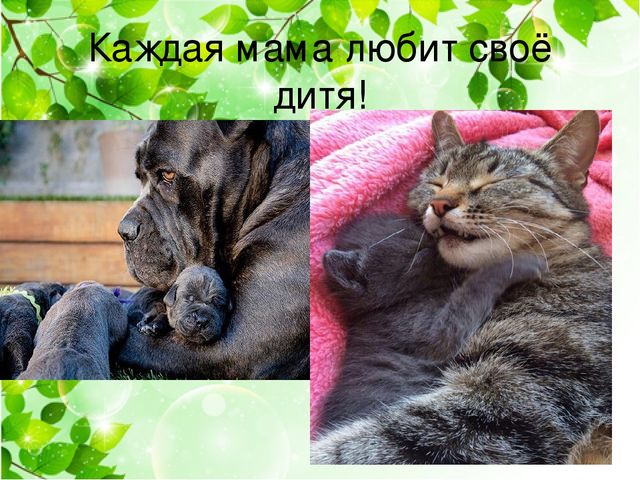 Детский познавательный проект "Доброта в мире животных"