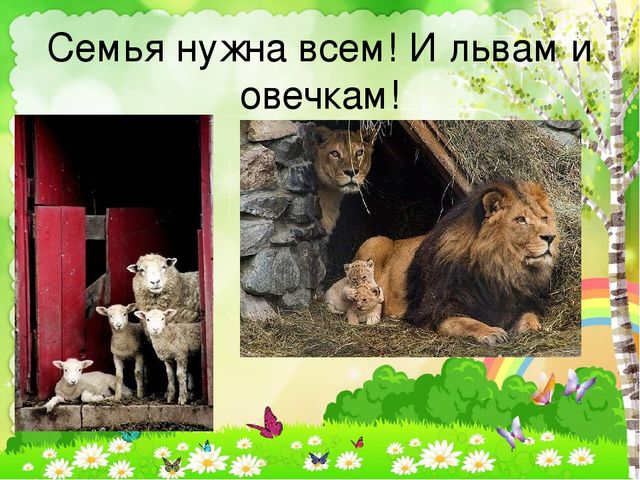 Детский познавательный проект "Доброта в мире животных"