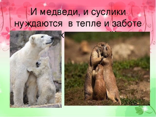 Детский познавательный проект "Доброта в мире животных"