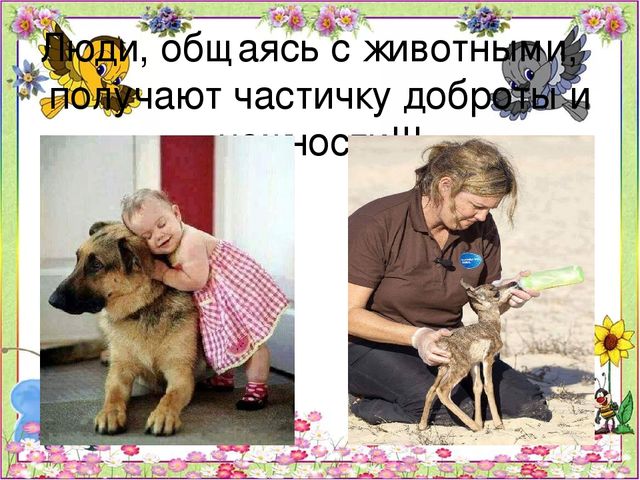 Детский познавательный проект "Доброта в мире животных"