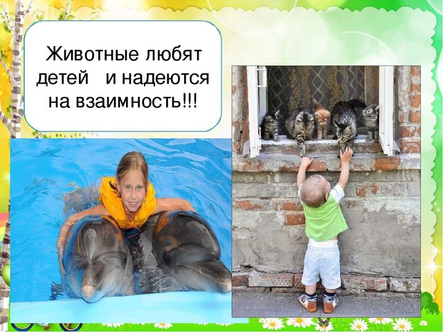 Детский познавательный проект "Доброта в мире животных"
