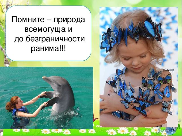 Детский познавательный проект "Доброта в мире животных"