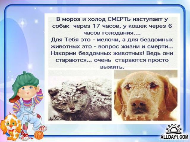 Детский познавательный проект "Доброта в мире животных"