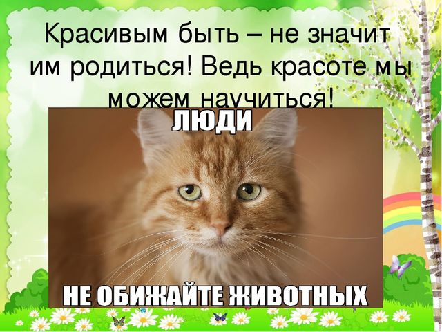 Детский познавательный проект "Доброта в мире животных"