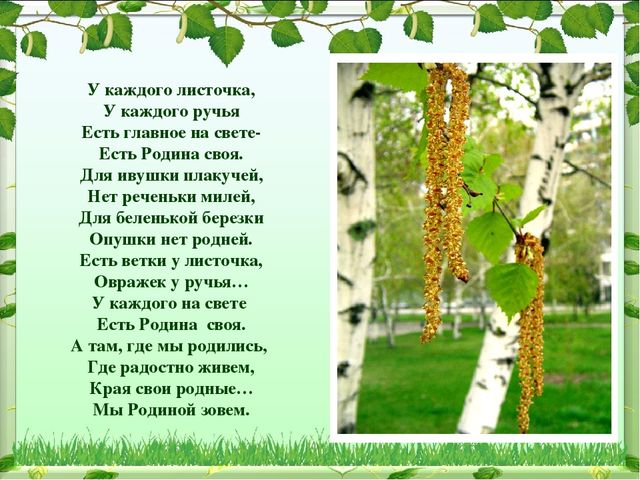 Иследовательский проект на тему: "Патриотическое воспитание в ДОУ"