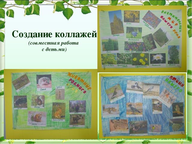 Иследовательский проект на тему: "Патриотическое воспитание в ДОУ"