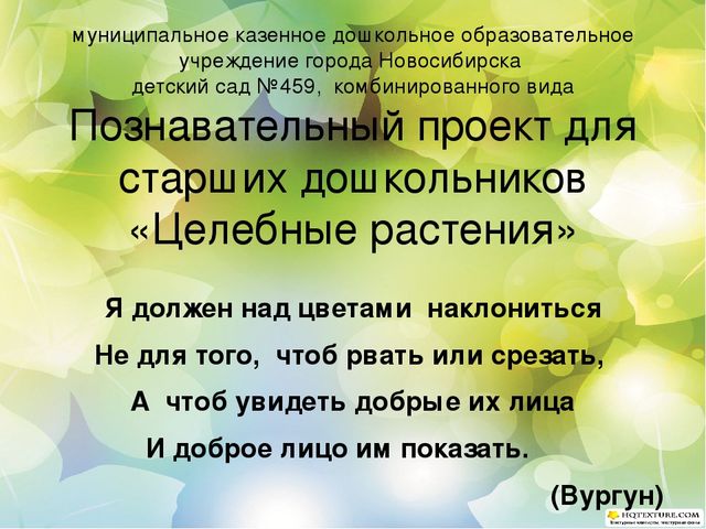 Познавательный проект для детей старшего дошкольного возраста "Целебные растения"
