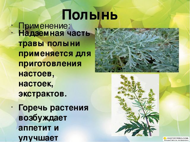 Познавательный проект для детей старшего дошкольного возраста "Целебные растения"