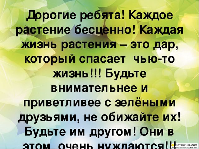 Познавательный проект для детей старшего дошкольного возраста "Целебные растения"