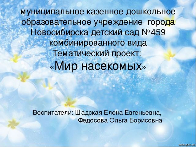 Тематический проект для дошкольников "Мир насекомых"