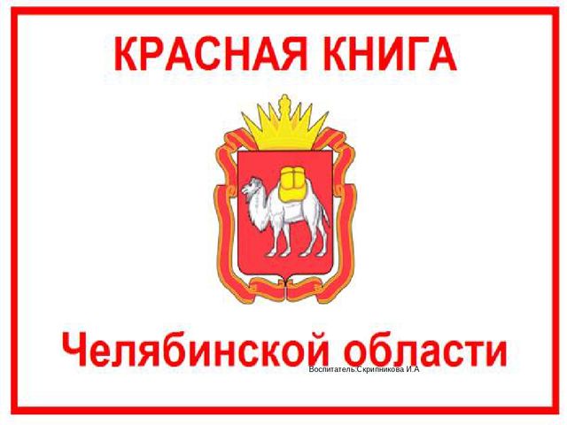Презентация для дошкольников "Красная книга"
