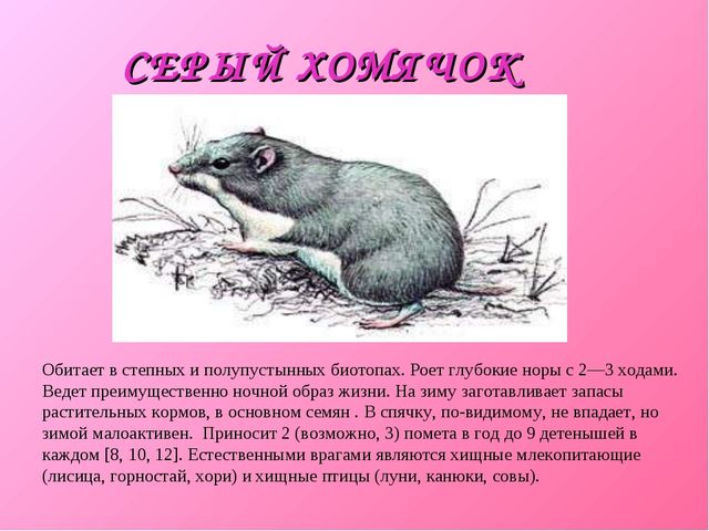 Презентация для дошкольников "Красная книга"