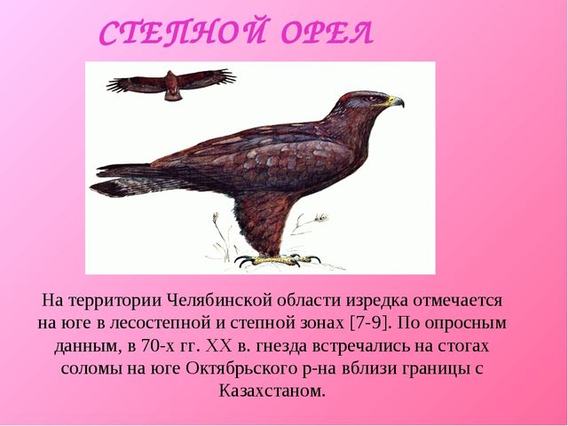 Презентация для дошкольников "Красная книга"